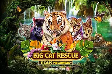 "Big cat rescue megaways" | Jeu de Casino Gratuit - Top Guide Casino