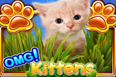"Omg kittens" | Jeu de Casino Gratuit - Top Guide Casino