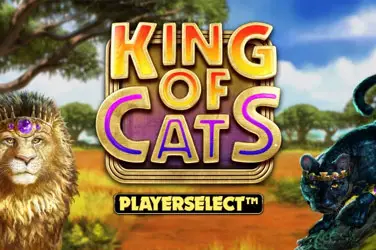 "King of cats" | Jeu de Casino Gratuit - Top Guide Casino