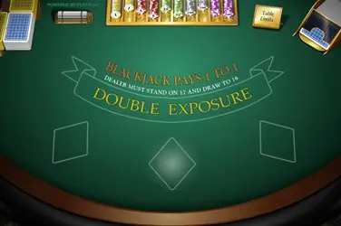 "Double exposure mh" | Jeu de Casino Gratuit - Top Guide Casino