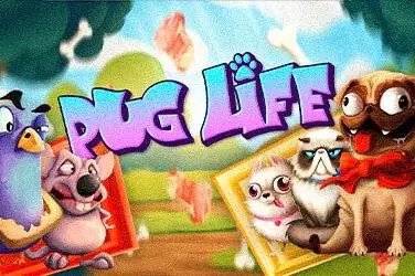 "Pug life" | Jeu de Casino Gratuit - Top Guide Casino
